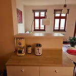 Salamander Kadaň