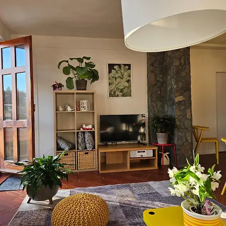 Salamander Apartment
