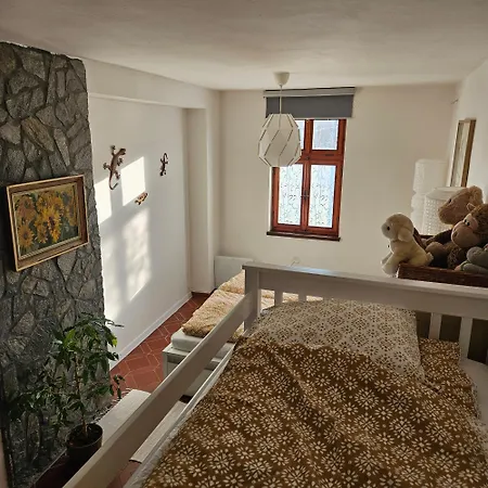 Salamander Apartman *