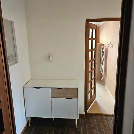 Apartment Salamander