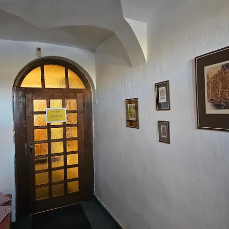Salamander Kadaň