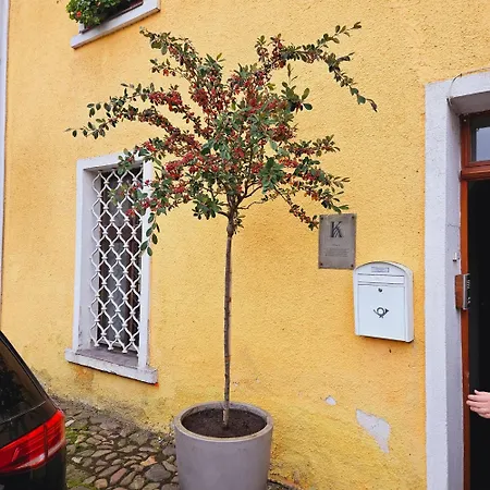 Salamander * Kadaň