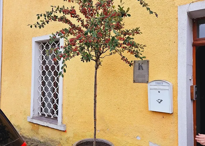 Salamander * Kadaň